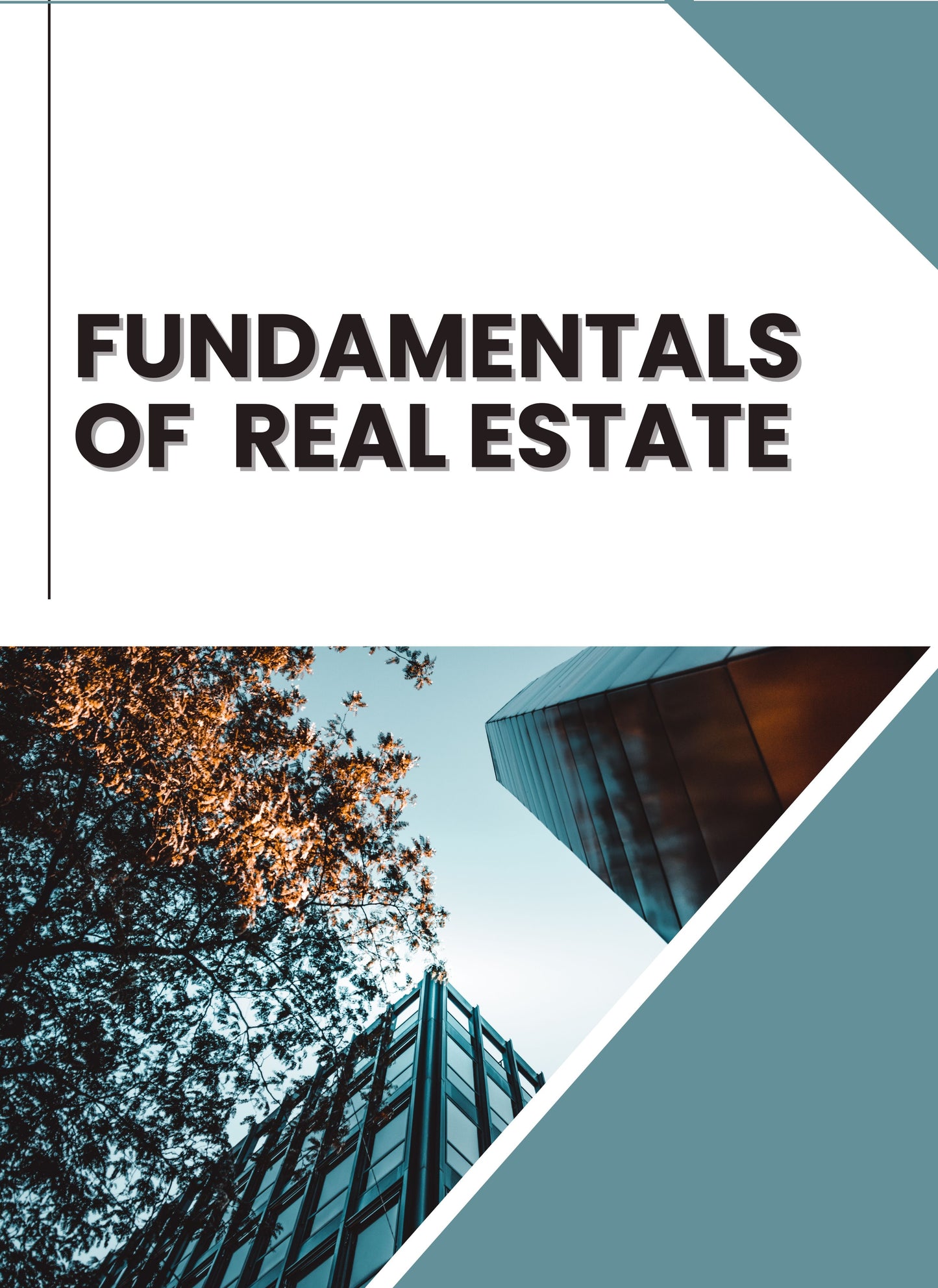 Fundamentals of Philippine Real Estate: Ownership, Sale, Mortgage & Lease