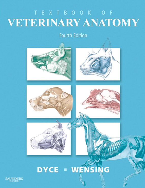 Textbook of Veterinary Anatomy